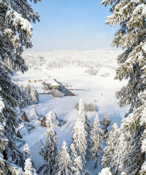 大寒时节仙女山再迎降雪！超全耍雪攻略、耍雪须知、交通指南及门票信息，一键送上！