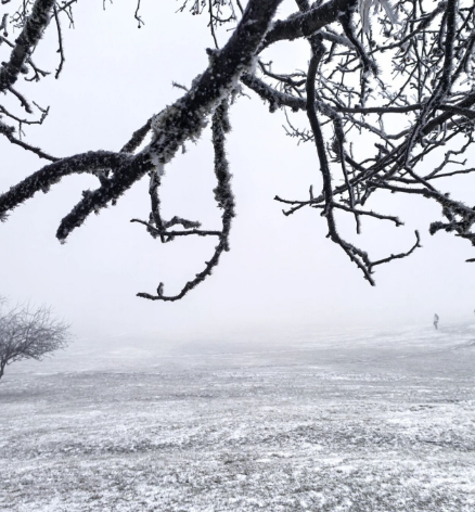 大寒时节仙女山再迎降雪！超全耍雪攻略、耍雪须知、交通指南及门票信息，一键送上！